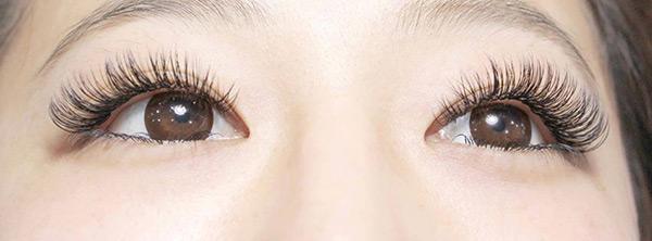 Fairy Nail 睫毛嫁接