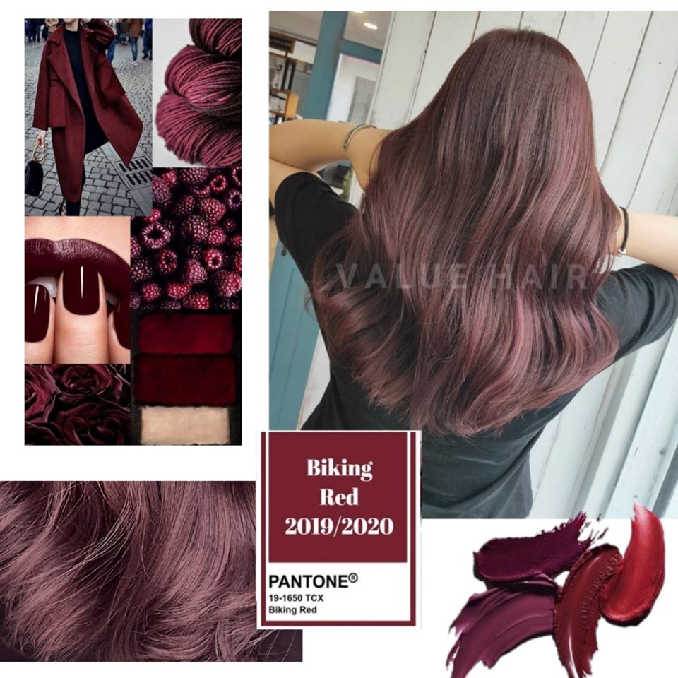 【台中染髮推薦】顯白初戀系????髮色-柔霧玫瑰????棕髮色