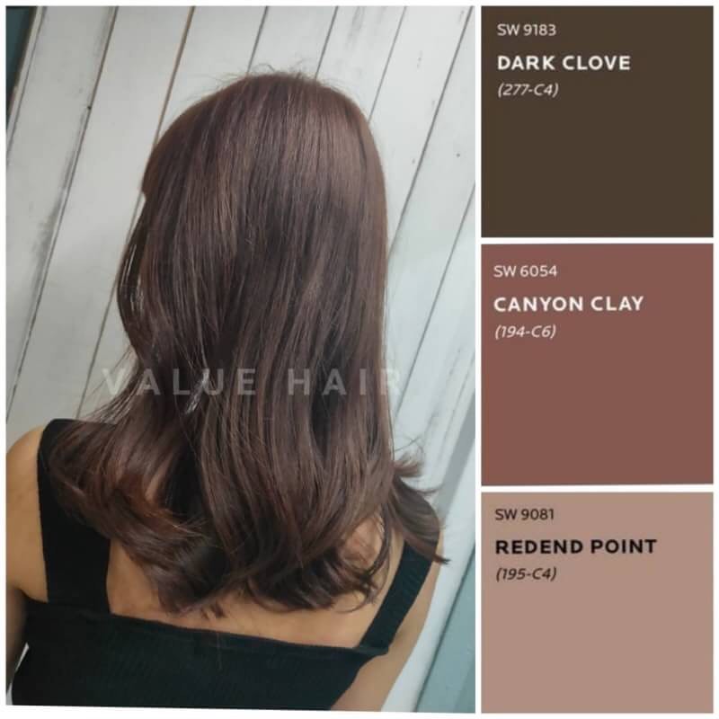 【台中染髮推薦】布朗尼髮色