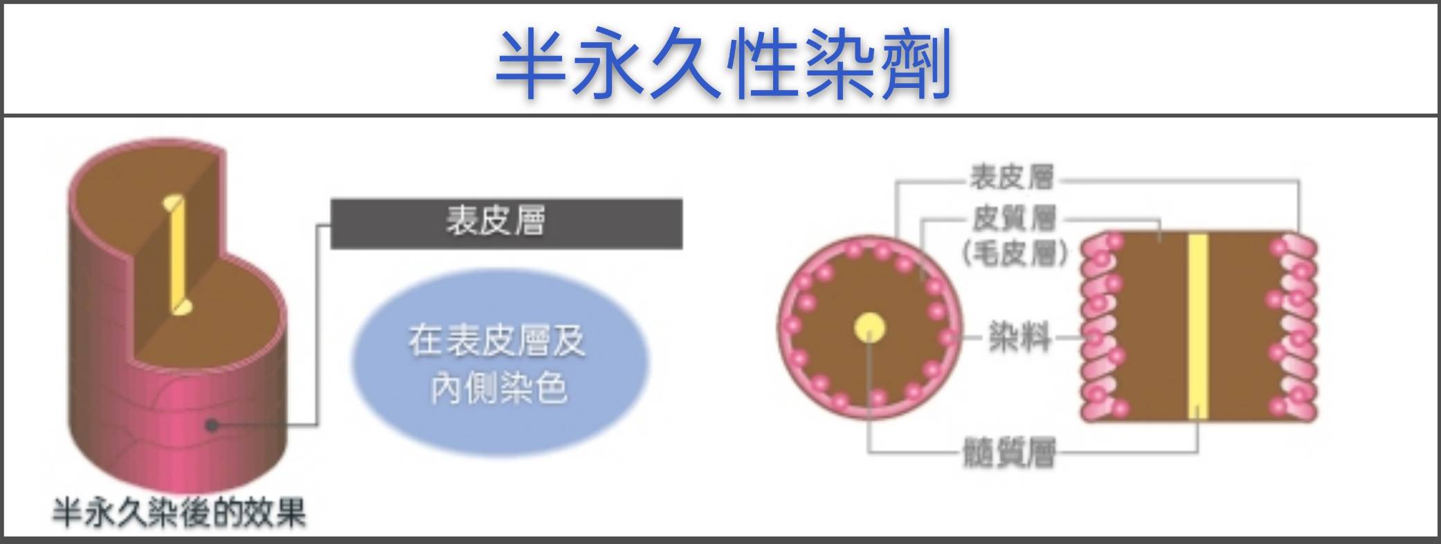 【台中染髮】時常在染髮的你(妳)，知道染劑的種類有哪些嗎？52