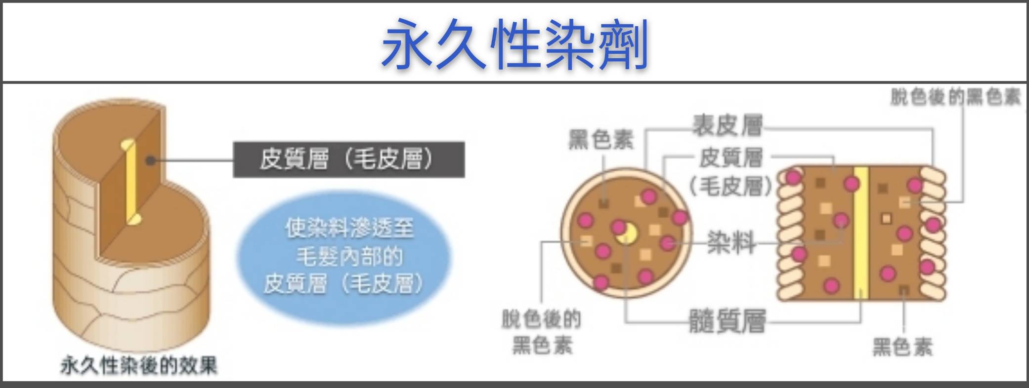 3【台中染髮】時常在染髮的你(妳)，知道染劑的種類有哪些嗎？53