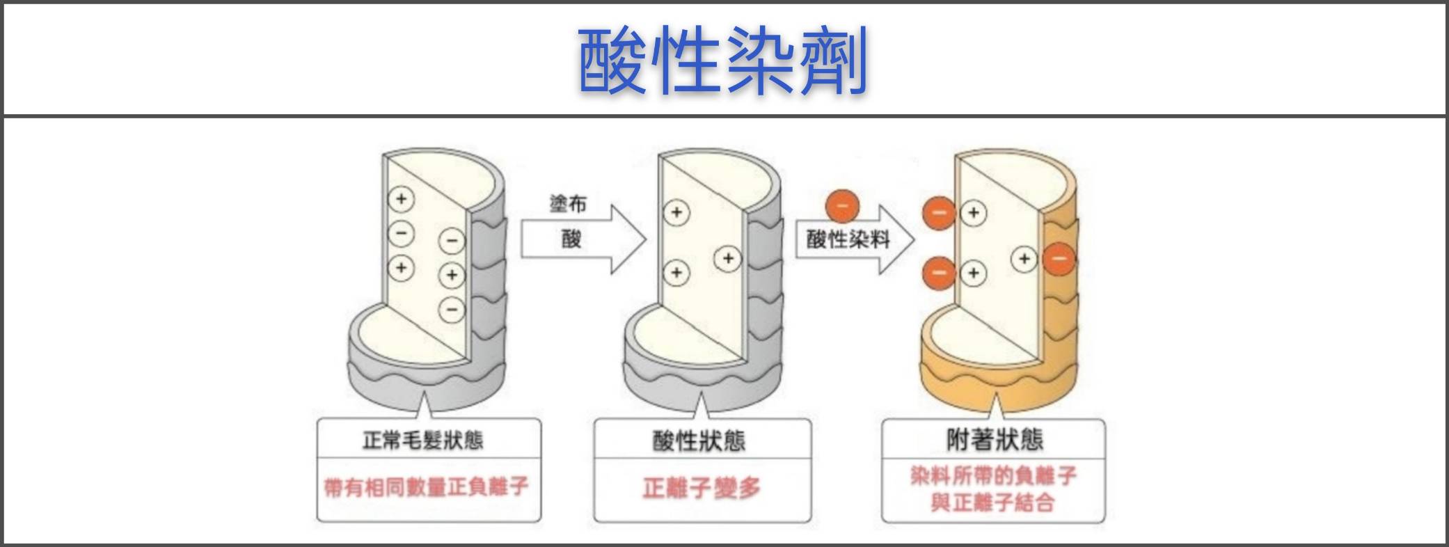 【台中染髮】時常在染髮的你(妳)，知道染劑的種類有哪些嗎？54