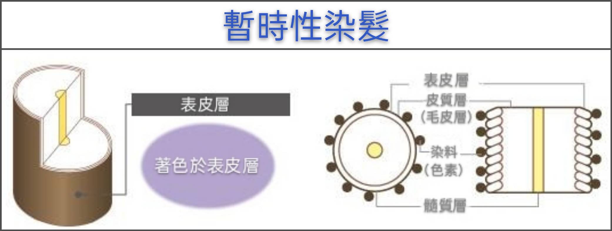 3【台中染髮】時常在染髮的你(妳)，知道染劑的種類有哪些嗎？