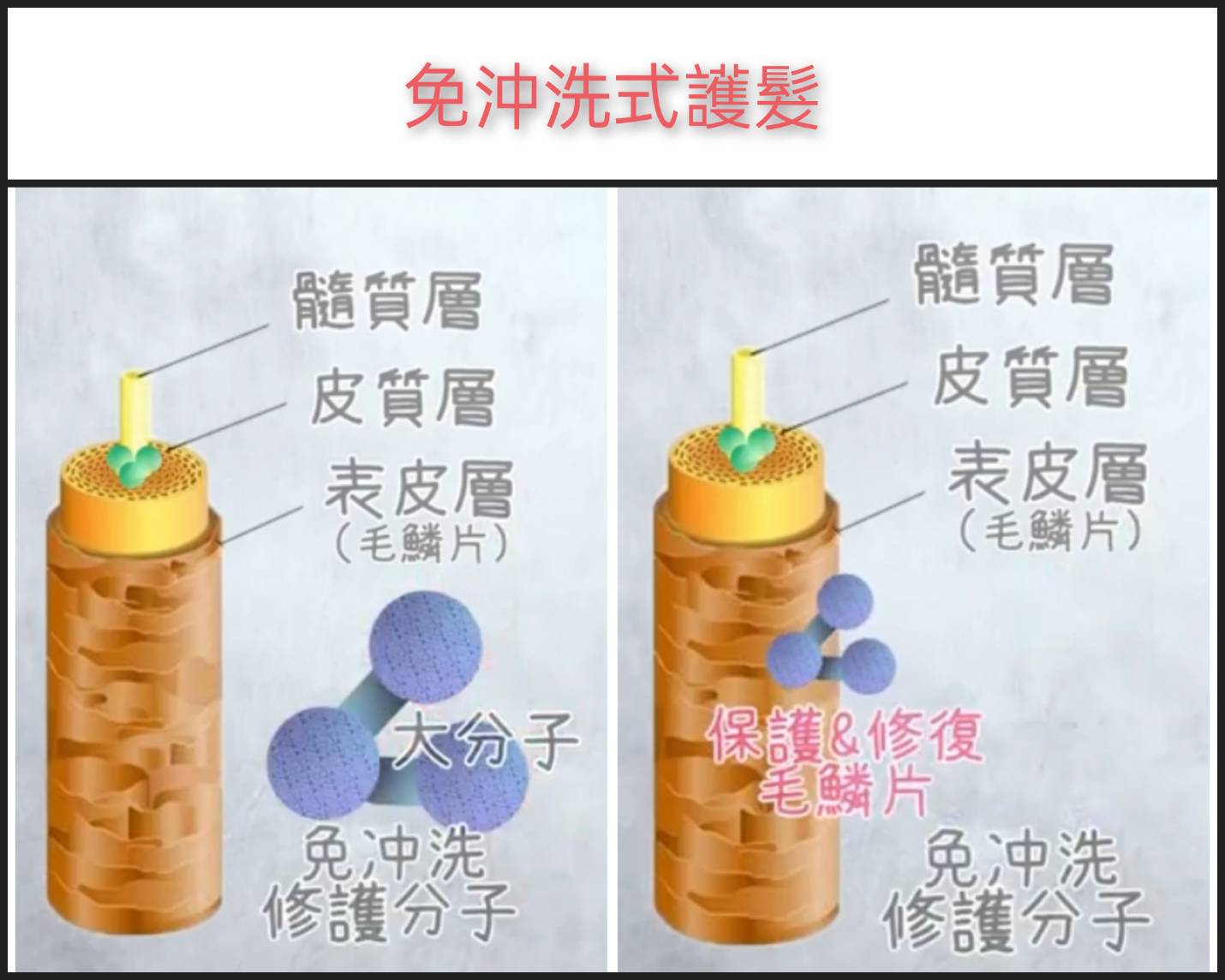 【台中剪髮】沖洗式護髮與免沖洗式護髮差別?