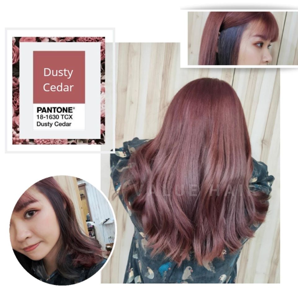 台中染髮推薦 耳圈染-玫瑰粉mix經典藍