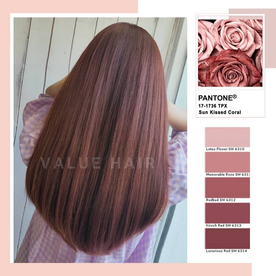 【台中染髮推薦】2020下半年必染  # 玫瑰奶霜拿鐵 Rose marry latte