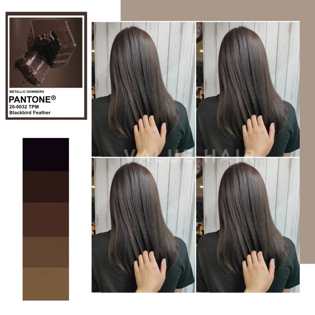 9【台中染髮推薦】帶灰調的 #可可栗子色髮色1 o